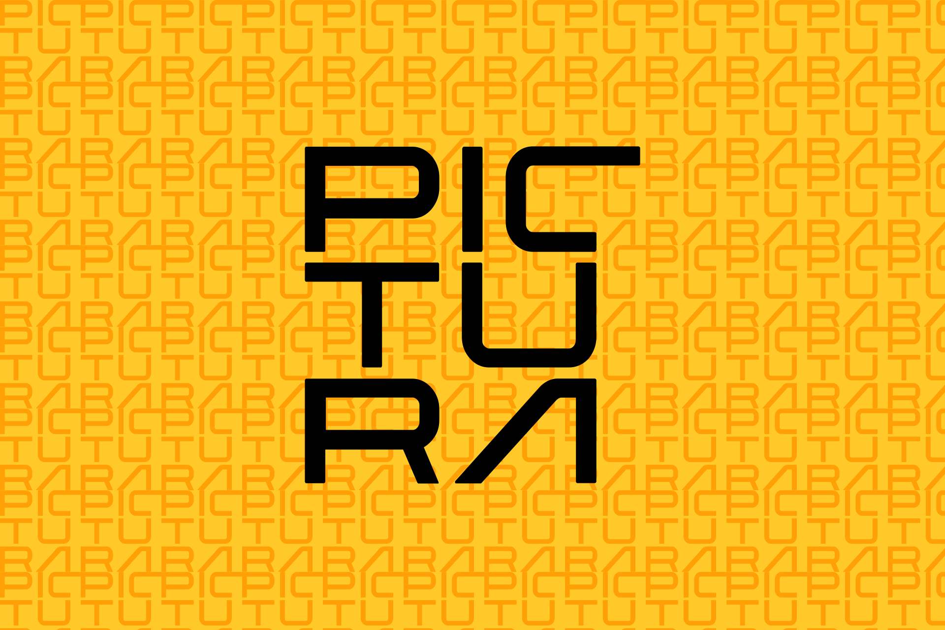 Pictura Image